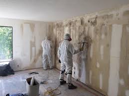 Best Mold Removal for HVAC Installations  in USA